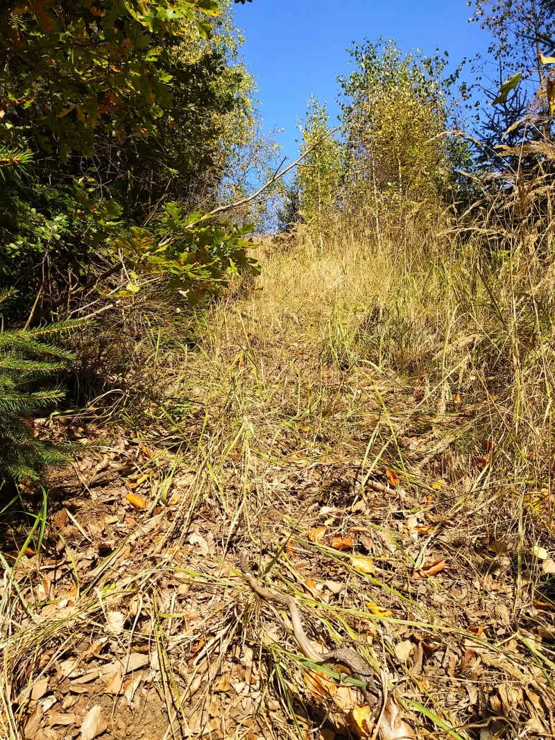 Polish Czech Landscapes 110