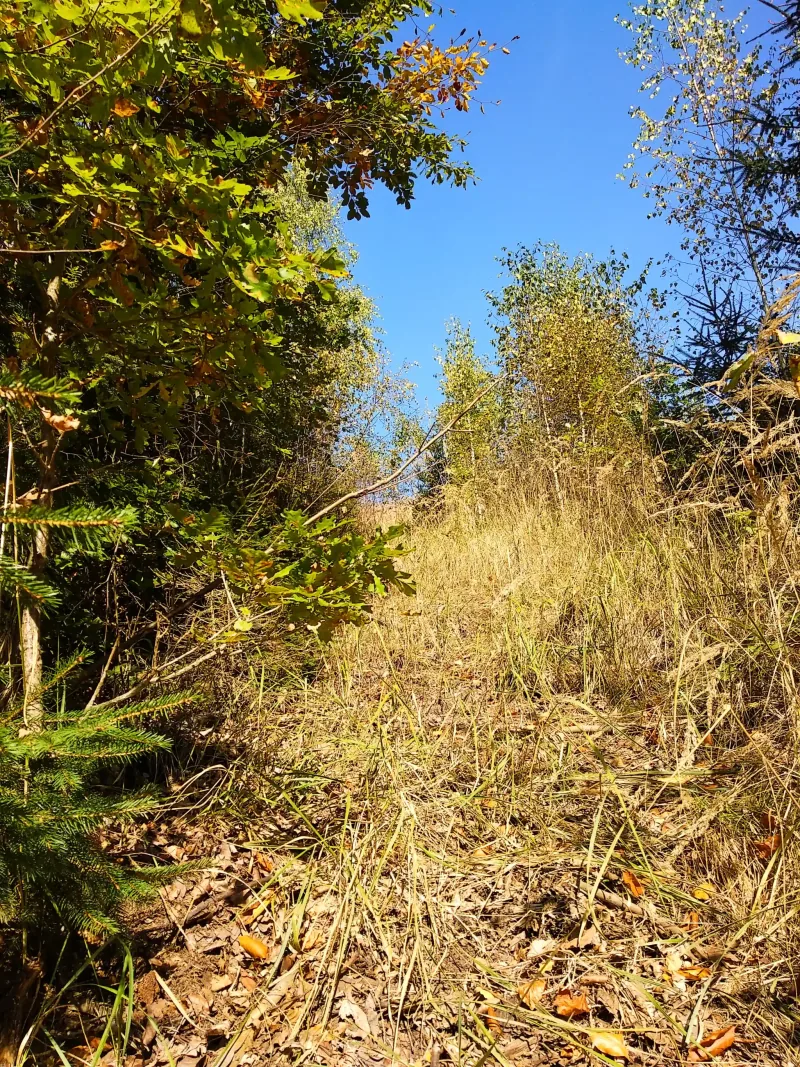 Polish Czech Landscapes 111