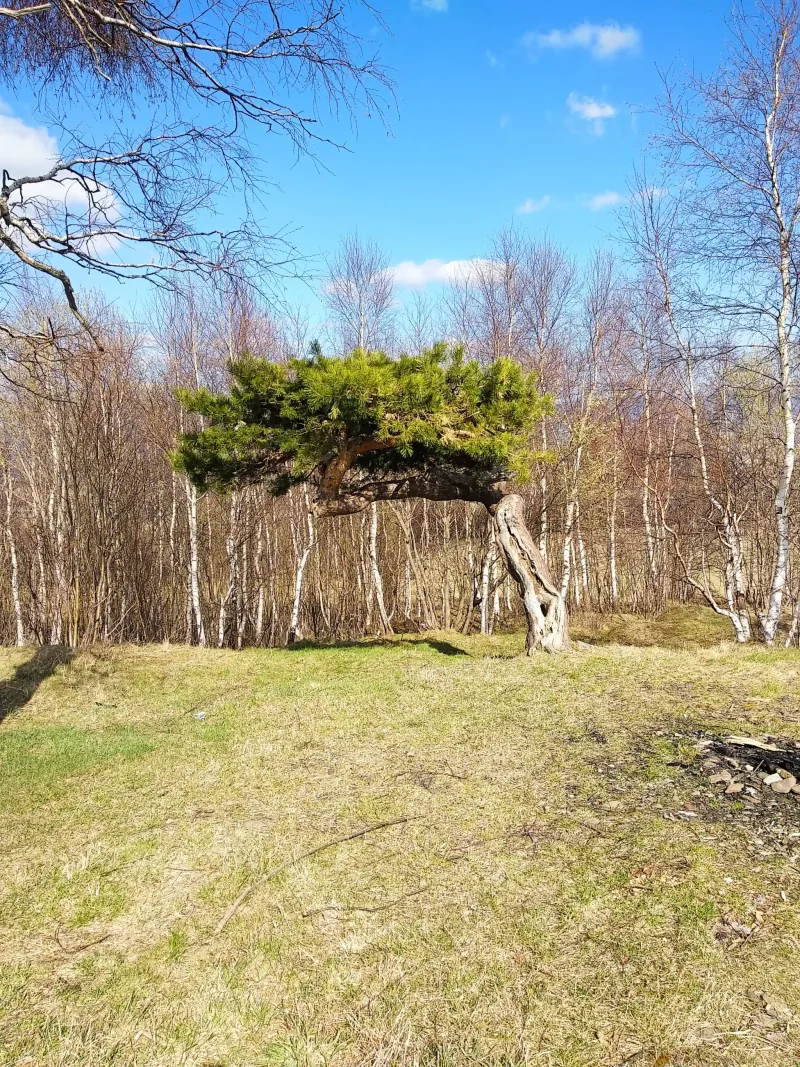 Polish Czech Landscapes 127