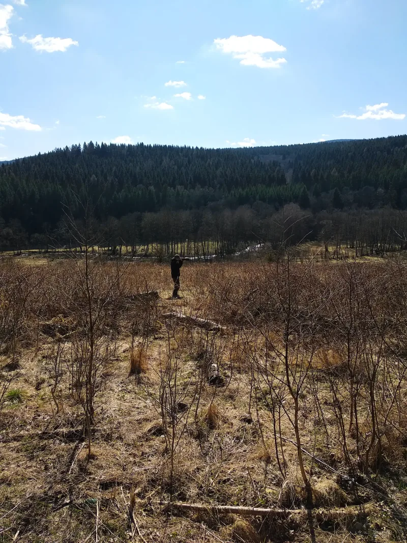 Polish Czech Landscapes 128