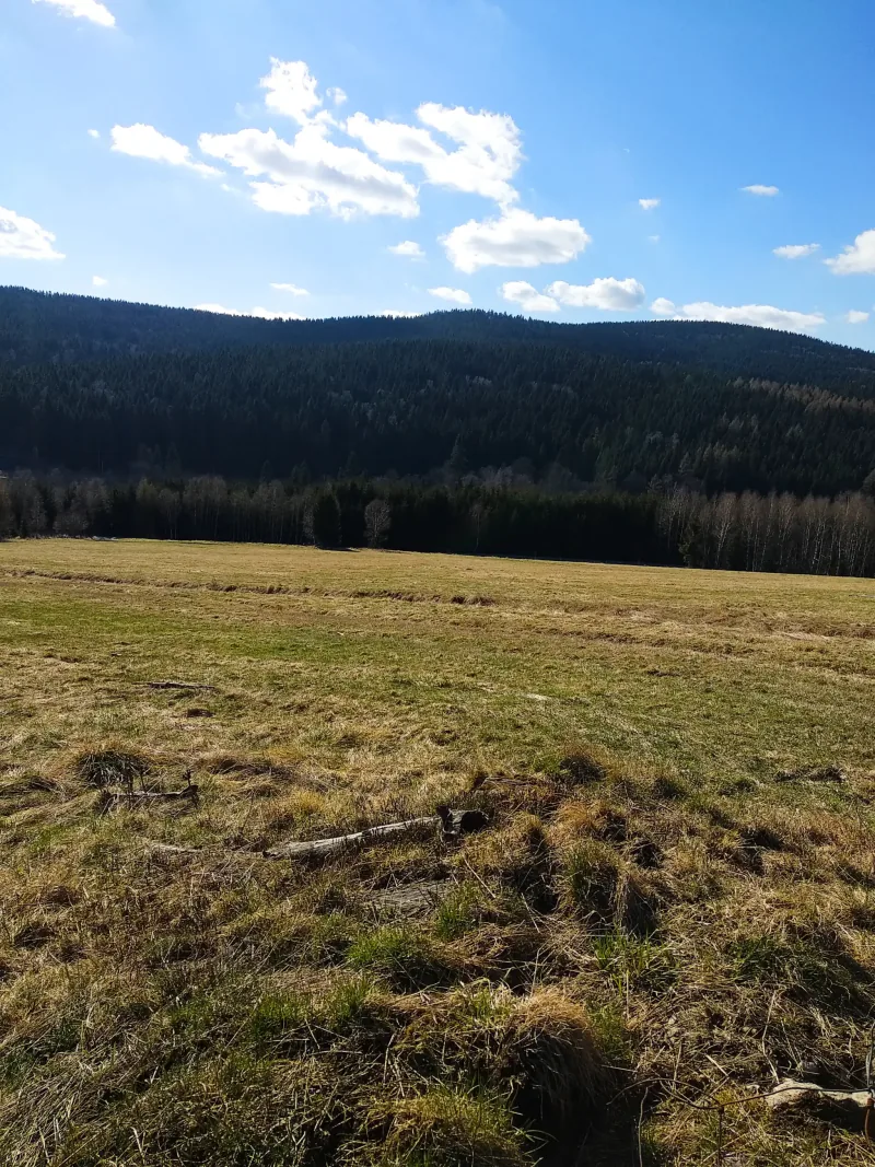 Polish Czech Landscapes 130