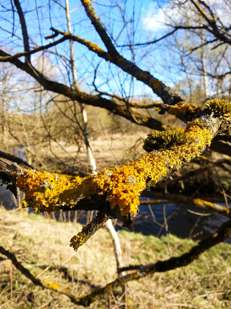 Polish Czech Landscapes 131