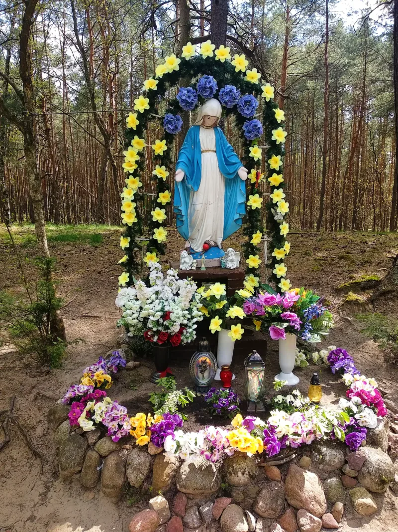 Polish Czech Landscapes 132