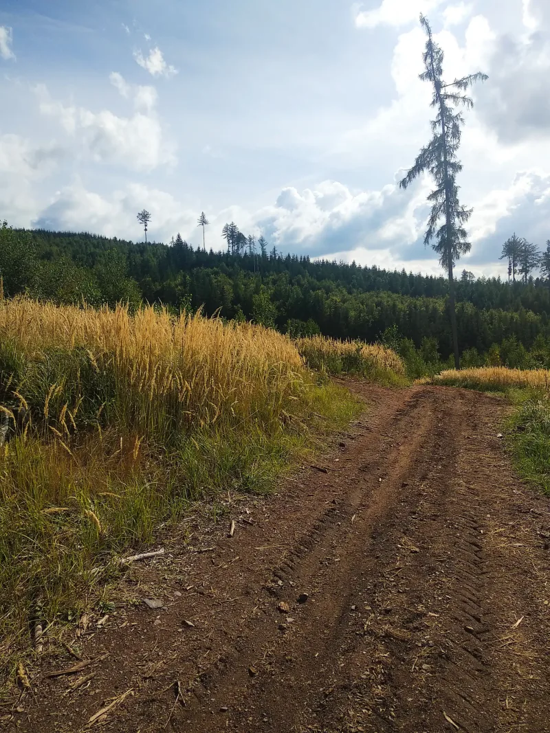 Polish Czech Landscapes 140