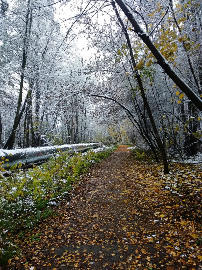Polish Czech Landscapes 142