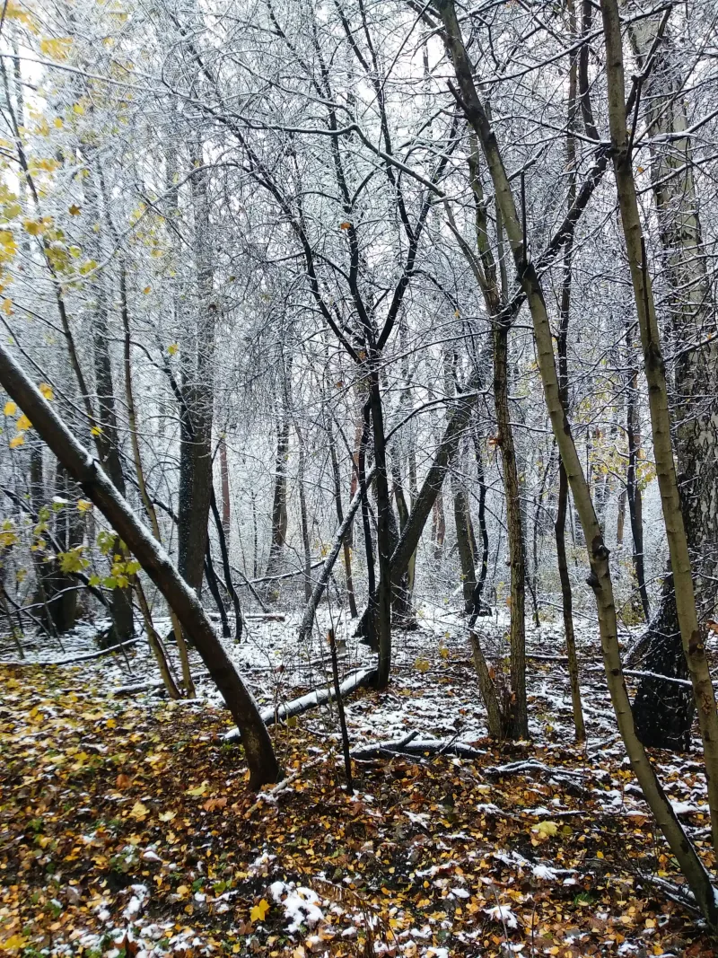 Polish Czech Landscapes 143