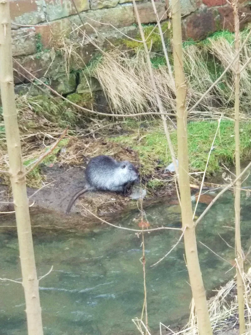 Polish Czech Landscapes 144