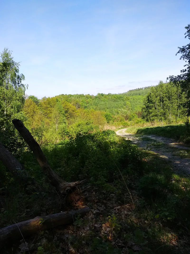 Polish Czech Landscapes 145