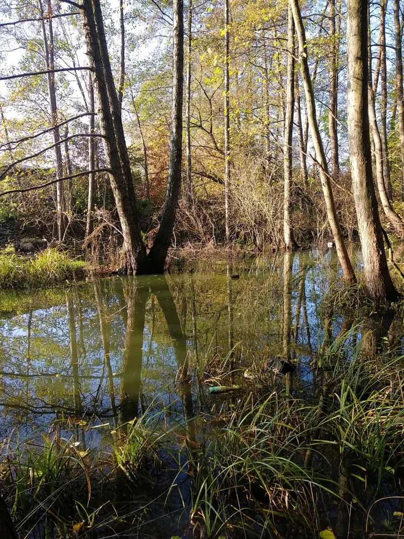 Polish Czech Landscapes 158