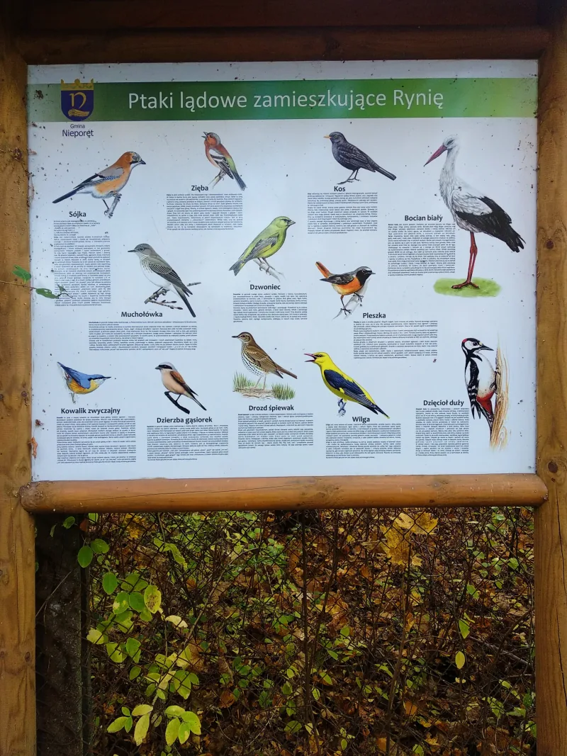 Polish Czech Landscapes 163