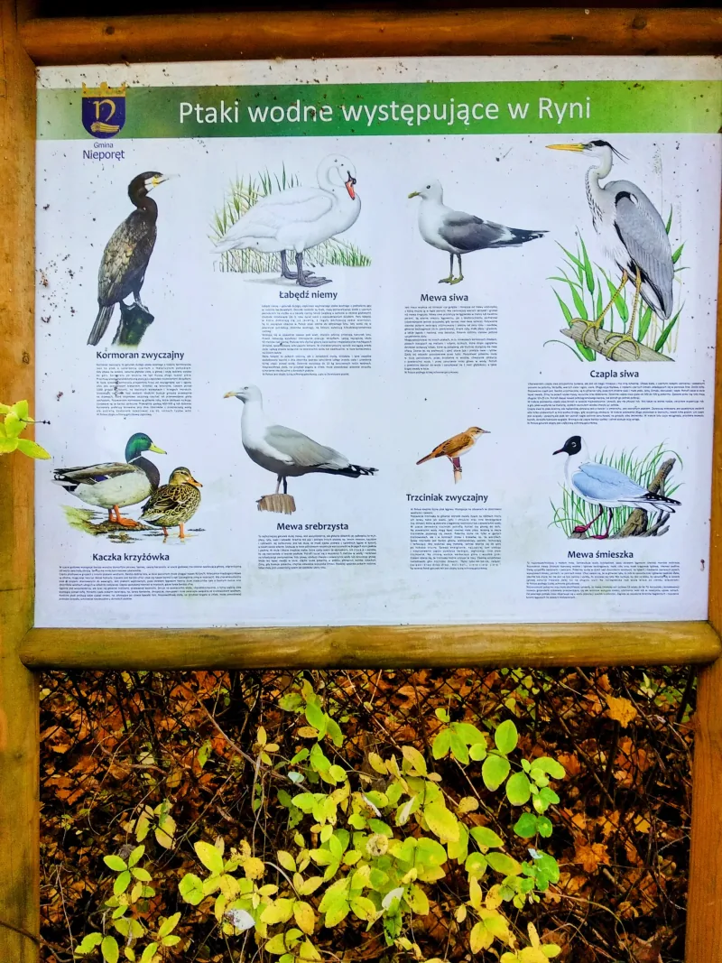 Polish Czech Landscapes 164