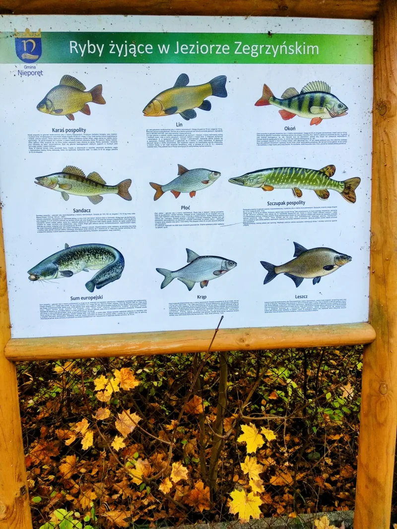 Polish Czech Landscapes 165