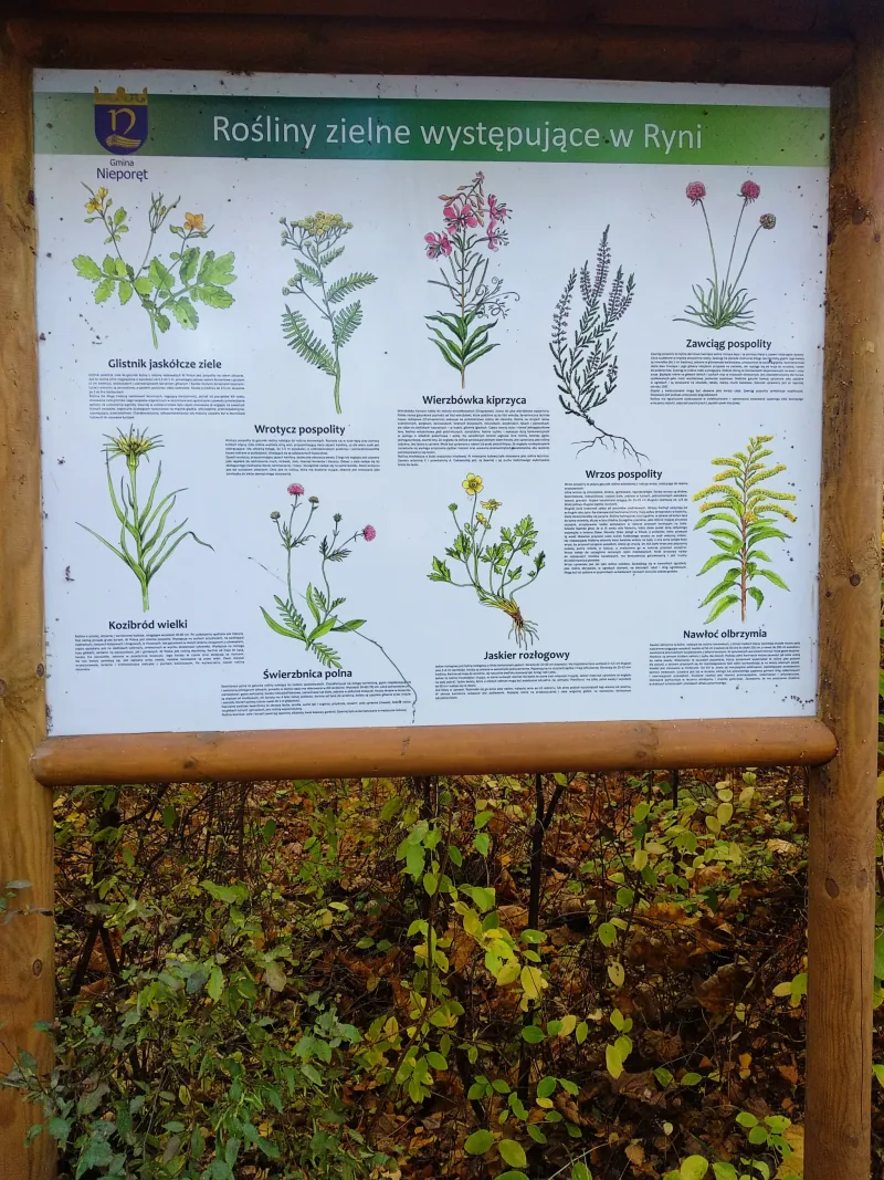 Polish Czech Landscapes 166