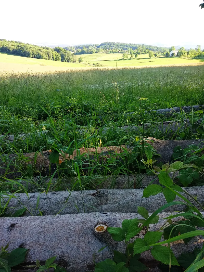 Polish Czech Landscapes 167