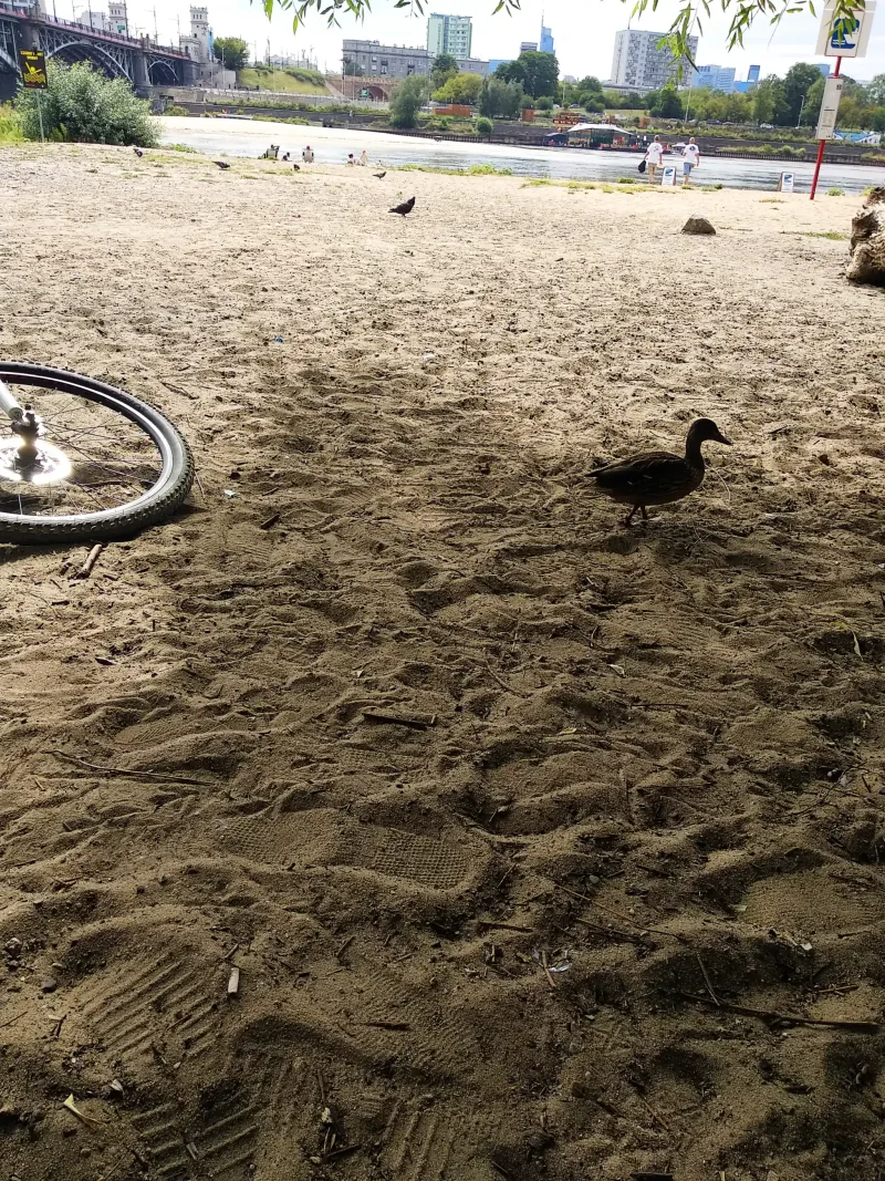 Polish Czech Landscapes 174