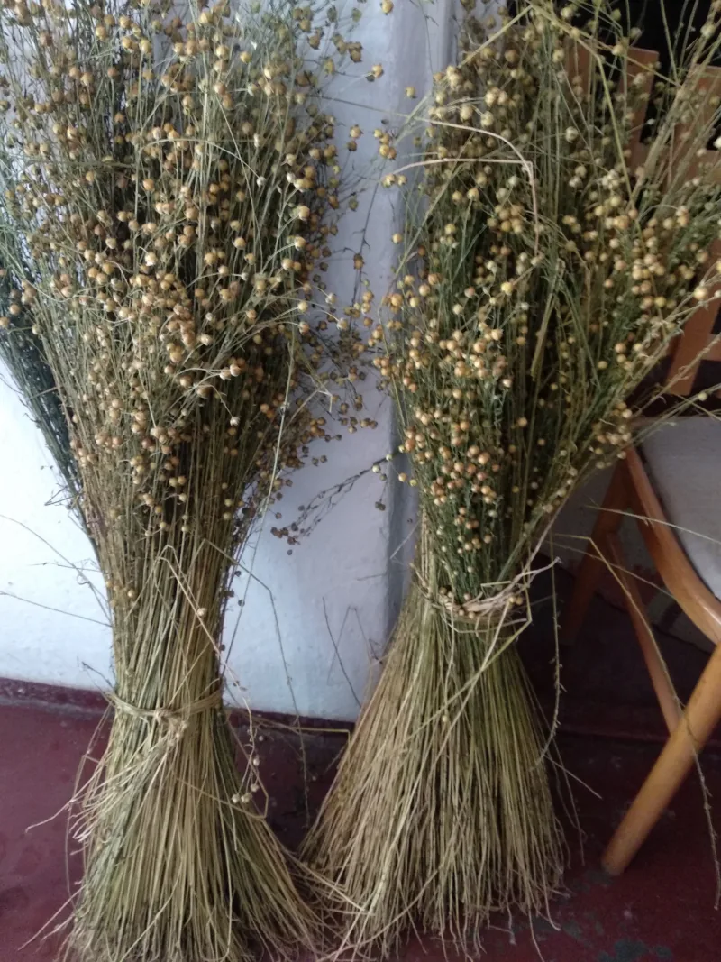 Polish Czech Landscapes 187