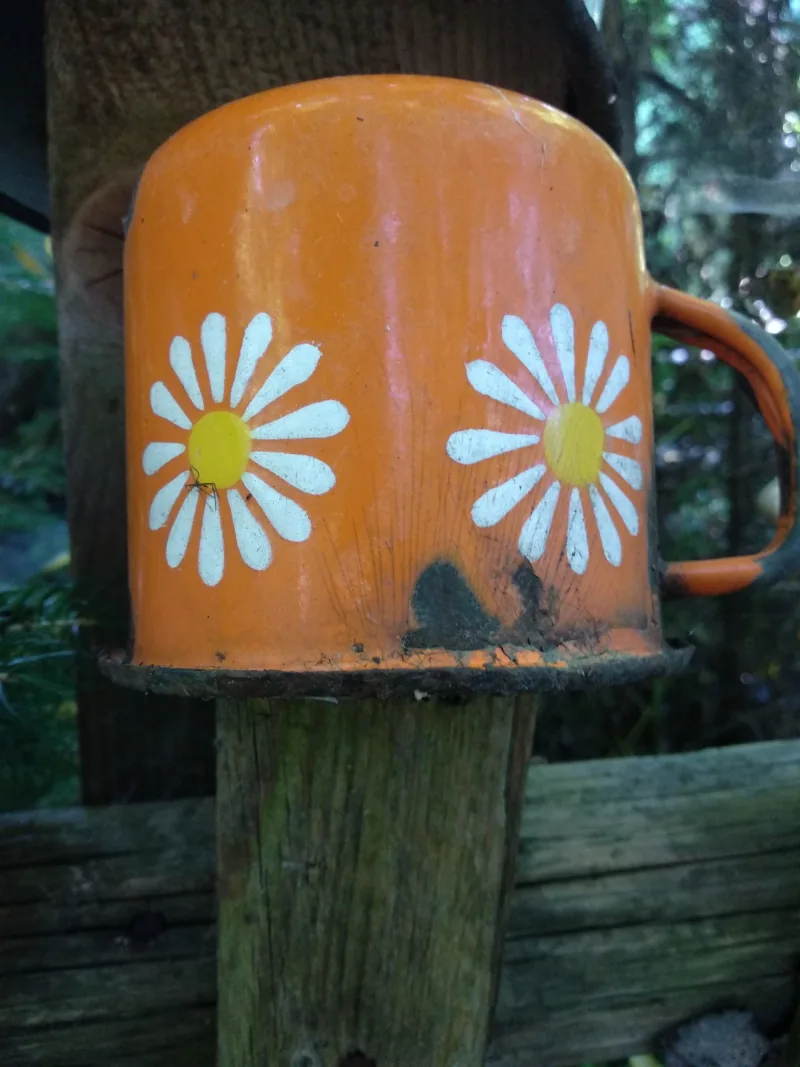 Polish Czech Landscapes 195