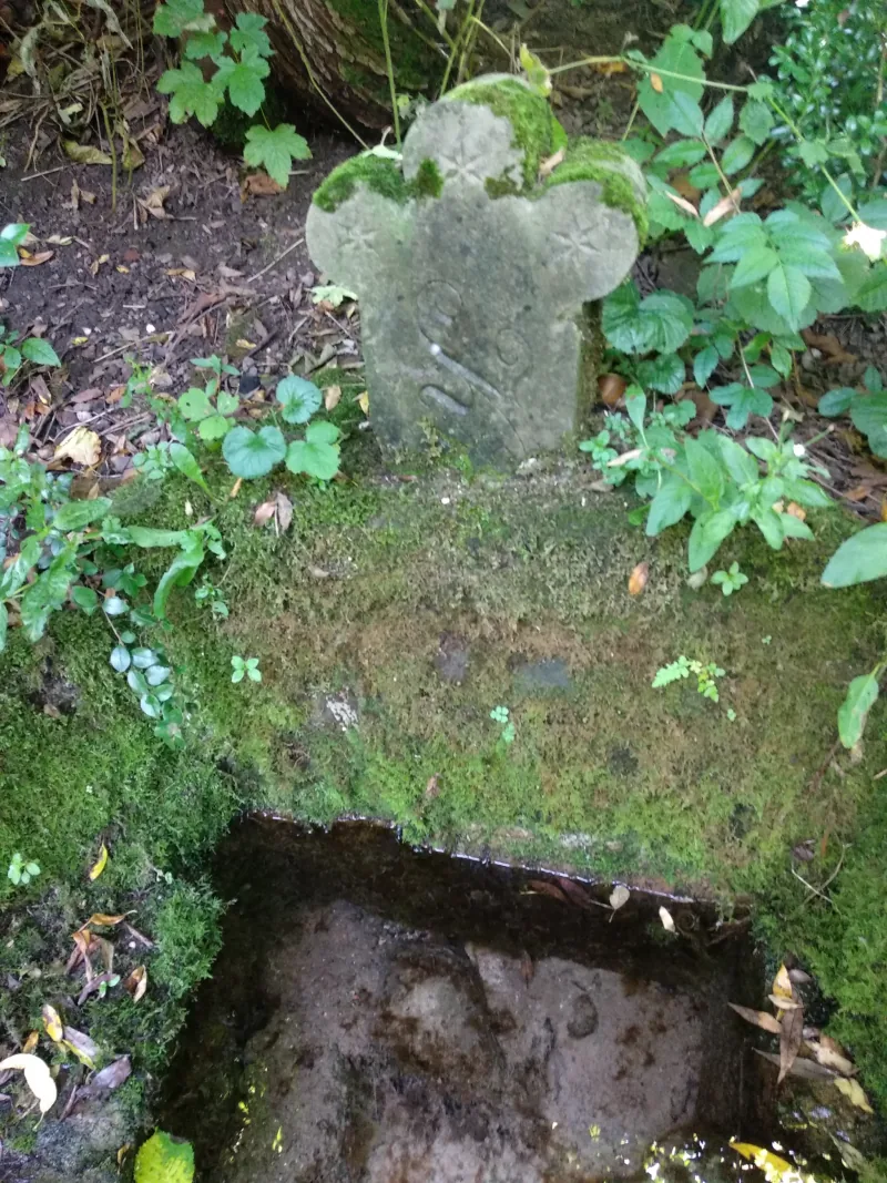 Polish Czech Landscapes 196