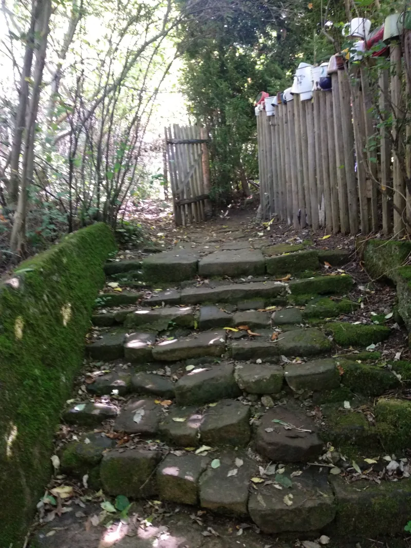 Polish Czech Landscapes 197