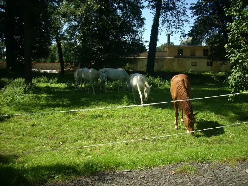 Polish Czech Landscapes 202
