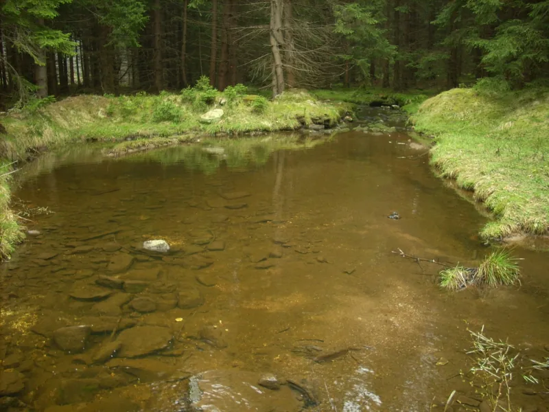 Polish Czech Landscapes 207