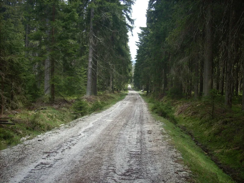 Polish Czech Landscapes 212