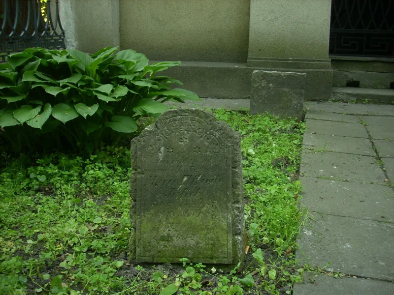 Polish Czech Landscapes 248