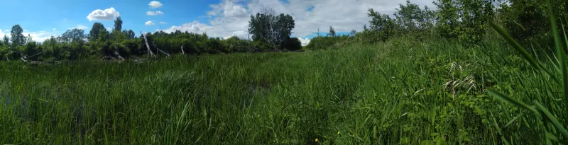 Polish Czech Landscapes 257