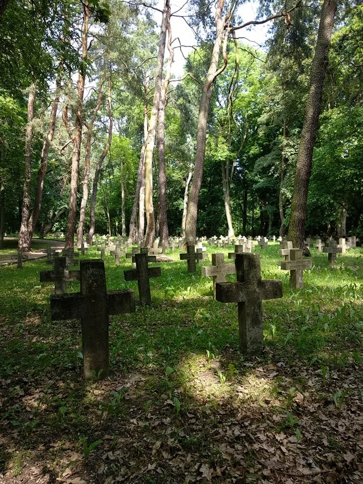 Polish Czech Landscapes 264