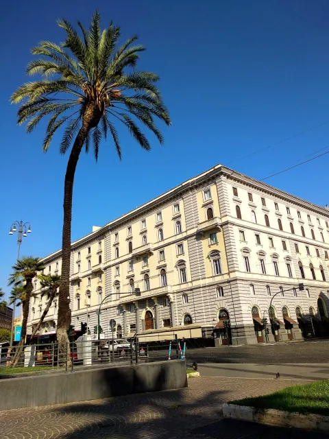 Roma Attalea Speciosa Babassu Palm