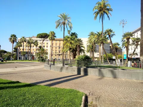 Roma Attalea Speciosa Babassu Tree