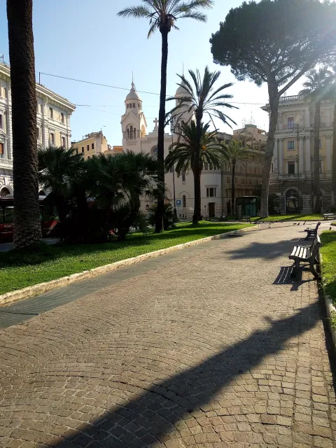 Roma Shadow Tree Trunk Woody