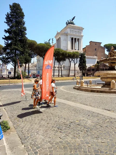 Roma Tree Advertising Banner Palm