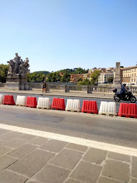 Roma Tree Road Surface Public