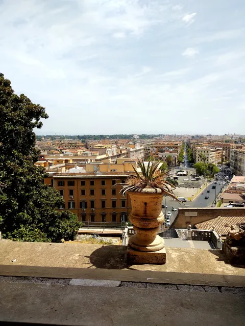 Roma Vatican Museum Chiaramonti Palm
