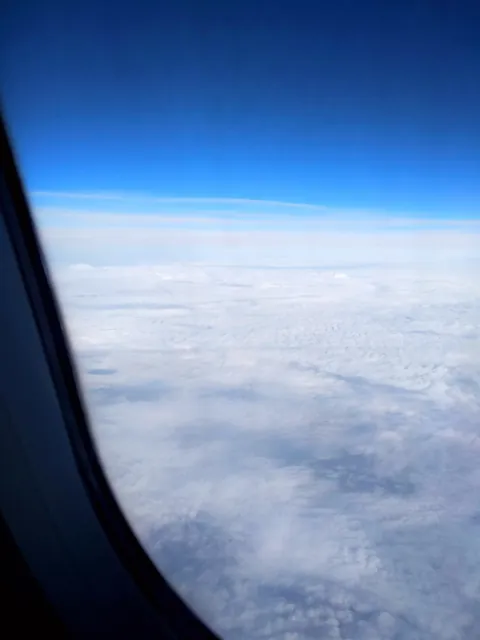 Roma Window General Replacement Create