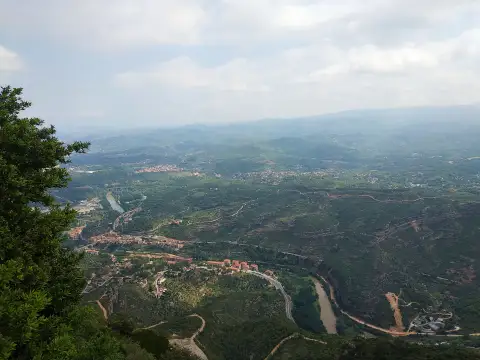 Spain Aerial Photography Nature Bird