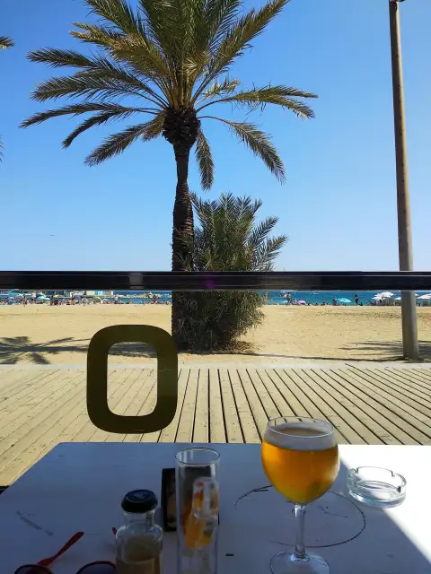 Spain Babassu Attalea Speciosa