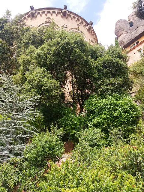 Spain Branch Vegetation