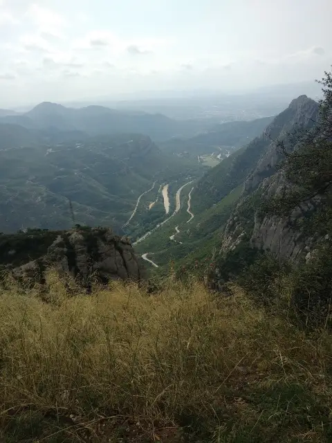Spain Grass Mountain Terrain Bird