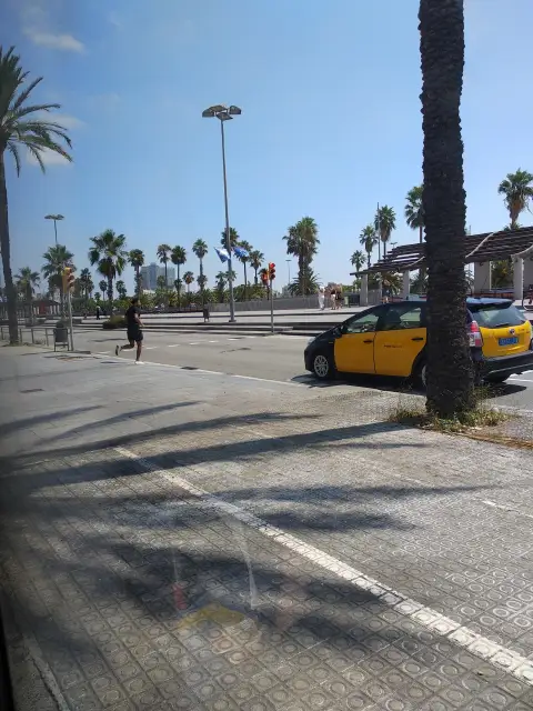 Spain Palm Trees Luxury Vehicle