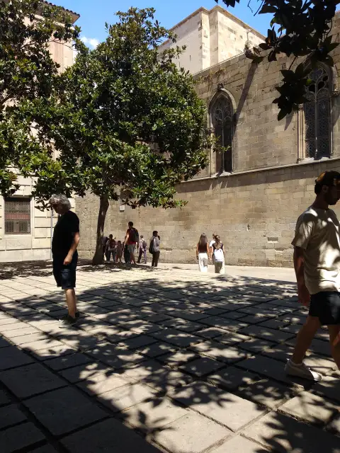 Spain Photograph Leg