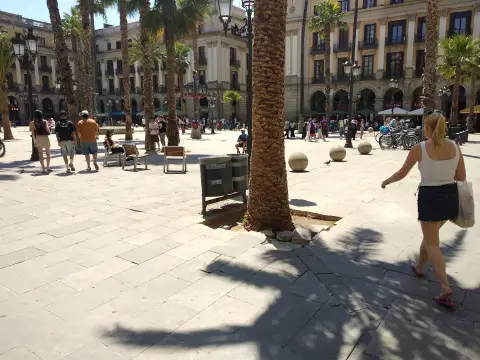 Spain Plaza Pedestrian