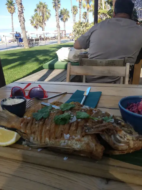 Spain Seafood Food Meat