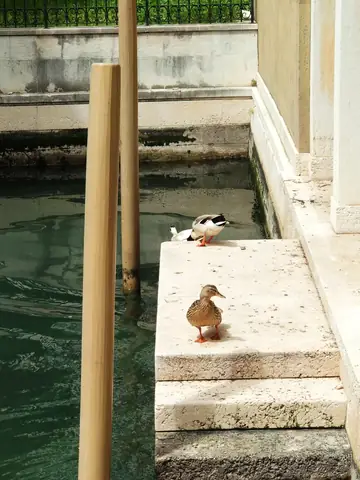 Venice Composite Material Grey