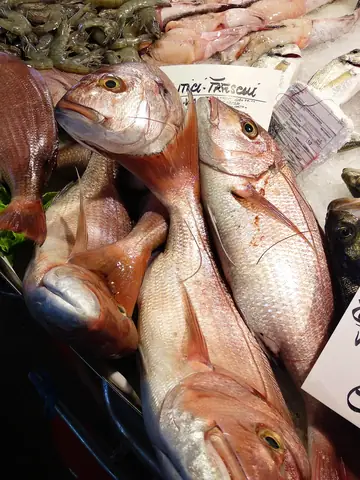 Venice Fish Seafood Food