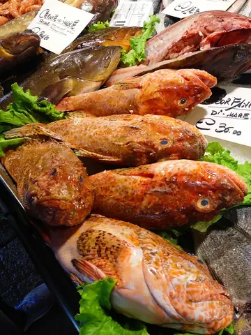 Venice Food Ingredient Fish