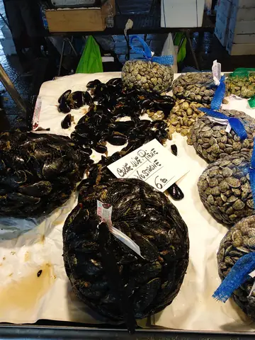 Venice Food Natural Material