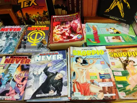 Venice Publication Book Fiction