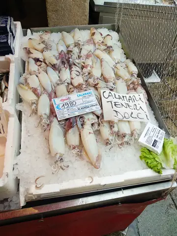 Venice Seafood Food Ingredient